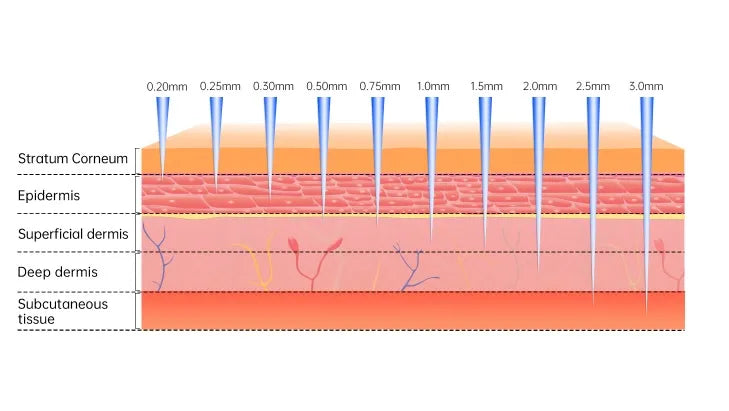 Figure showing the different depths of the skin that the derma stamp for hair microneedling tool can penetrate into